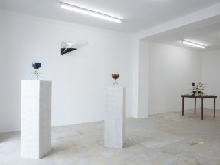 installation view of the group exhibition Substance, Galerie Antoine Levi, Paris - may 2013