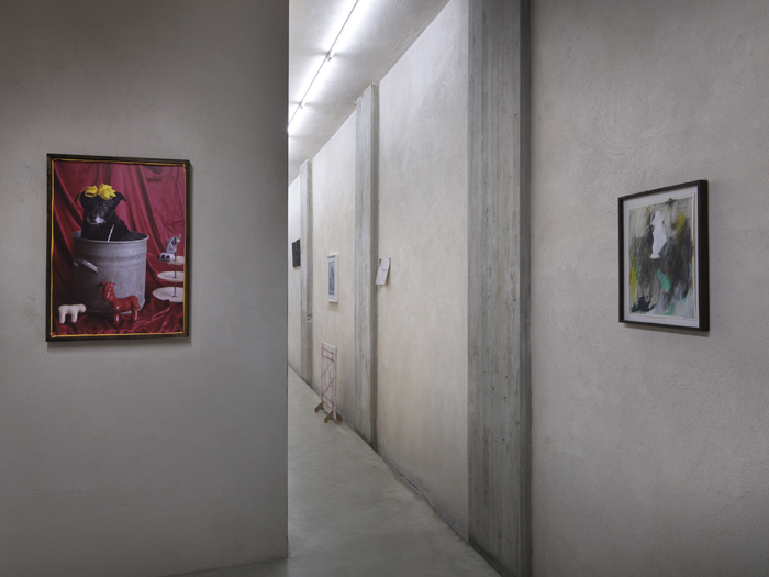 exhibition view at Car drde, Bologna